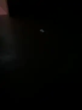 Snapshot of MALEHYPER chatting on 12-02-25, 08:21 MALEHYPER online show from 12-02-25, 08:21