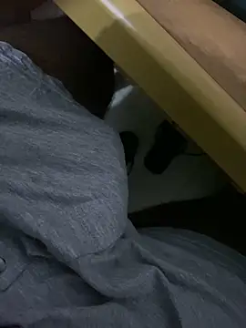 Snapshot of MALEHYPER chatting on 10-04-25, 06:31 MALEHYPER online show from 10-04-25, 06:31