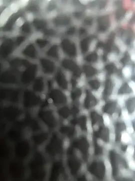 WhiteMeat069 online show from 04-14-26, 08:14