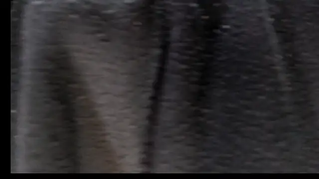 Justin Frank online show from 02-22-26, 05:03