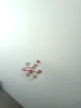 ClubbyEuphory online show from 02-05-26, 01:40