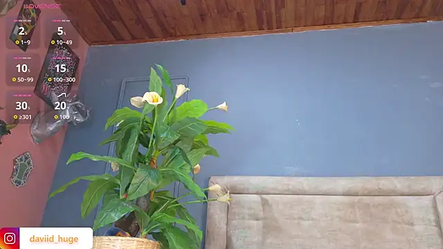 nicol snow online show from 01-15-26, 01:25