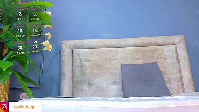 nicol snow online show from 01-12-26, 01:51