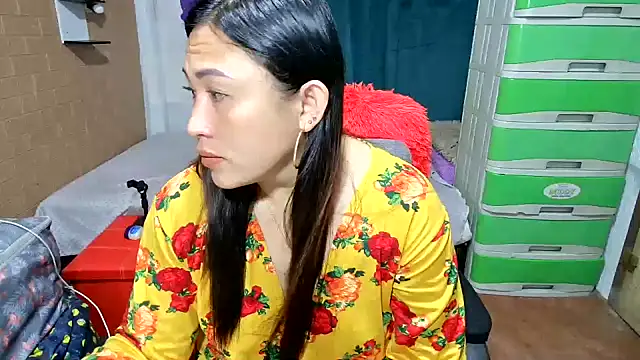 M e c e l online show from 03-06-26, 07:53