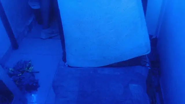 selenax2023 online show from 02-02-26, 11:04