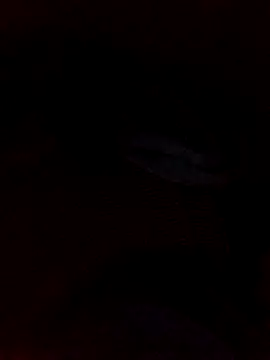 juandi21cm online show from 01-11-26, 09:33