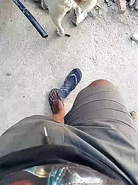 TitularAdaption online show from 02-19-26, 06:54