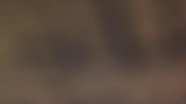 leccaleccafiga online show from 03-12-26, 06:45