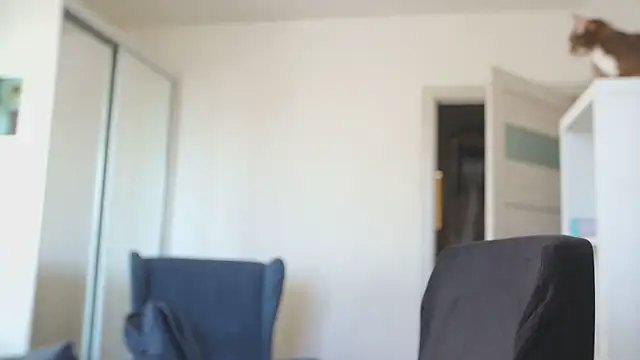 kevin-park online show from 02-14-26, 08:14