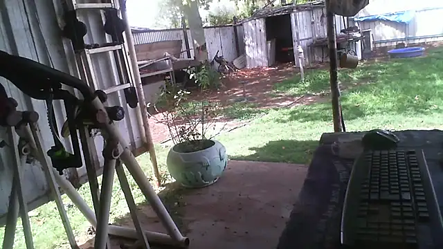 herbie010666 online show from 12-15-25, 04:40