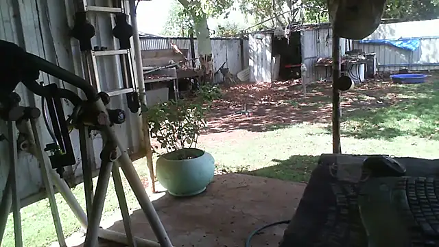 herbie010666 online show from 11-20-25, 04:46