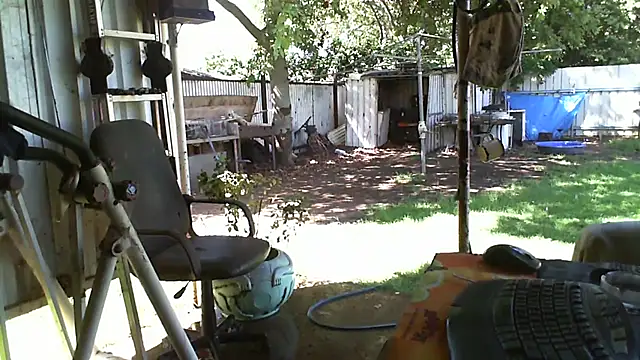 Snapshot of herbie010666 chatting on 02-12-25, 05:05 herbie010666 online show from 02-12-25, 05:05