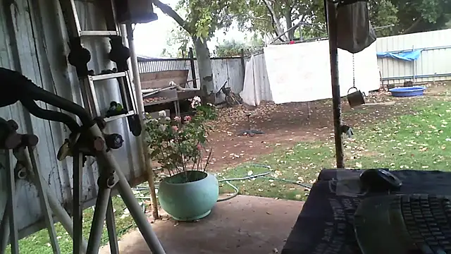 Snapshot of herbie010666 chatting on 10-18-25, 04:14 herbie010666 online show from 10-18-25, 04:14