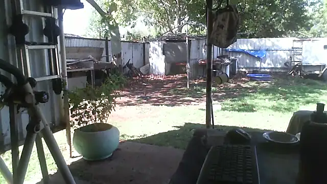 herbie010666 online show from 12-05-25, 05:17