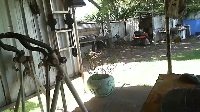 Snapshot of herbie010666 chatting on 03-10-25, 05:33 herbie010666 online show from 03-10-25, 05:33