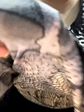 Preet Kaur 69 online show from 12-19-25, 06:43