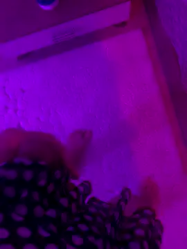 xsanchx online show from 10-30-25, 01:20