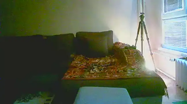 Snapshot of Power_Art chatting on 01-13-25, 02:11 Power Art online show from 01-13-25, 02:11