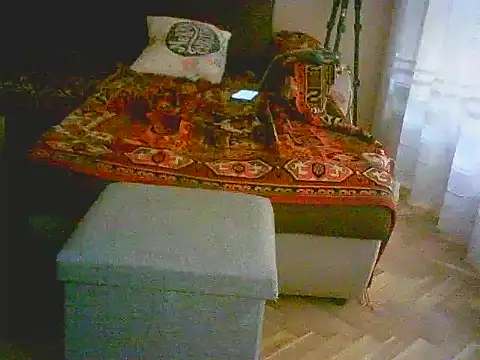 Snapshot of Power_Art chatting on 03-11-25, 03:23 Power Art online show from 03-11-25, 03:23