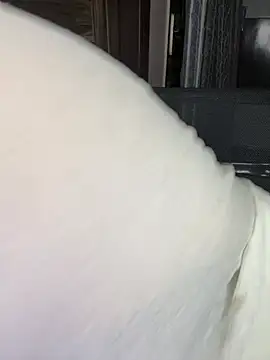 Zoya Varma004 online show from 04-10-26, 02:02