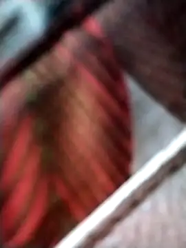 Keyla01  online show from 11-07-25, 10:42