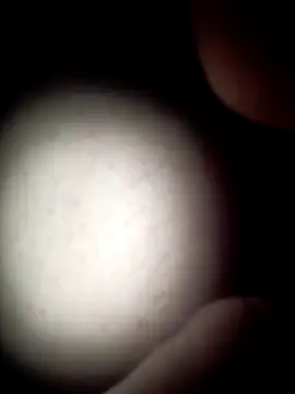 commonjust online show from 11-26-25, 05:18