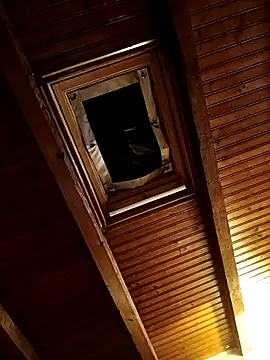 CurlyElisa online show from 02-26-26, 09:37