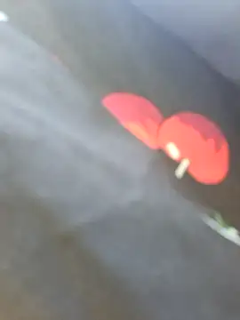 NansyyyaLiannkkaasssssa78 online show from 09-11-25, 08:14