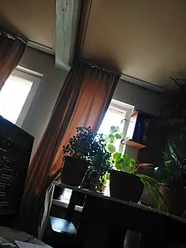 Snapshot of IrmaRose chatting on 07-18-26, 05:49 IrmaRose online show from 07-18-26, 05:49