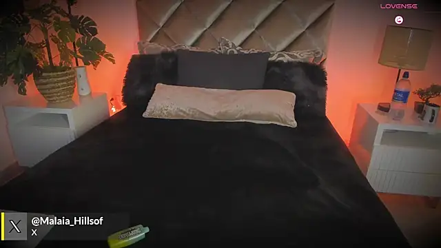 malaia hills online show from 02-07-26, 07:22