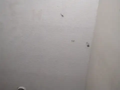 Snapshot of 247Srokin chatting on 03-13-26, 07:24 247Srokin online show from 03-13-26, 07:24