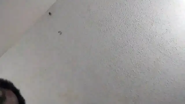 Snapshot of 247Srokin chatting on 03-06-26, 11:00 247Srokin online show from 03-06-26, 11:00