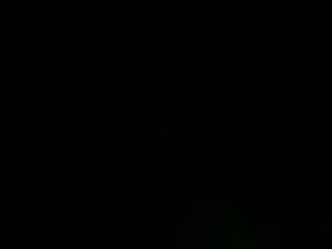 Sexyrkv91 online show from 01-19-25, 05:28