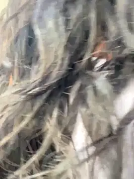 Snapshot of bea3liz chatting on 12-18-24, 05:52 bea3liz online show from 12-18-24, 05:52