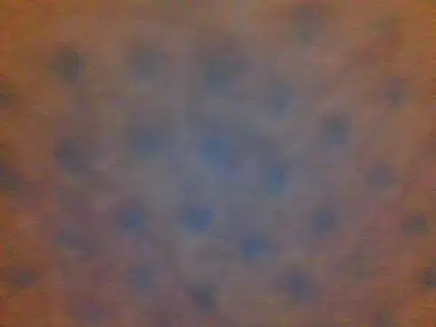 xsexy on91 online show from 02-13-25, 08:34