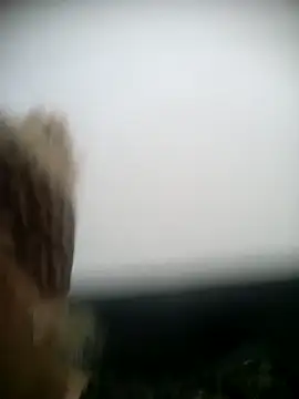 shaynarg online show from 03-06-25, 08:27