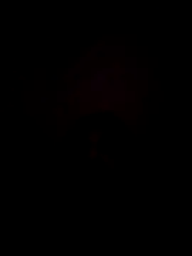 divakar2022 online show from 10-15-25, 08:11