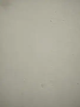 blackjack- online show from 11-22-25, 12:37