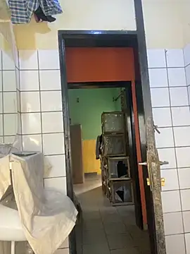 vannycov online show from 11-18-25, 07:44