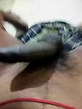 Snapshot of tamil_camguy chatting on 01-26-25, 04:30 tamil camguy online show from 01-26-25, 04:30