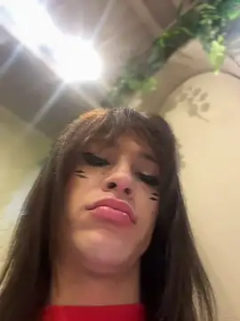 stormytt  online show from 01-12-26, 03:46