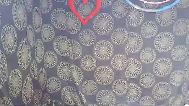 LunaRai online show from 02-06-26, 03:13