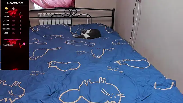 eva zero online show from 11-03-25, 11:36