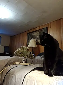 OralDesires2 online show from 12-19-25, 08:55