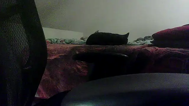 OralDesires2 online show from 02-19-25, 11:46