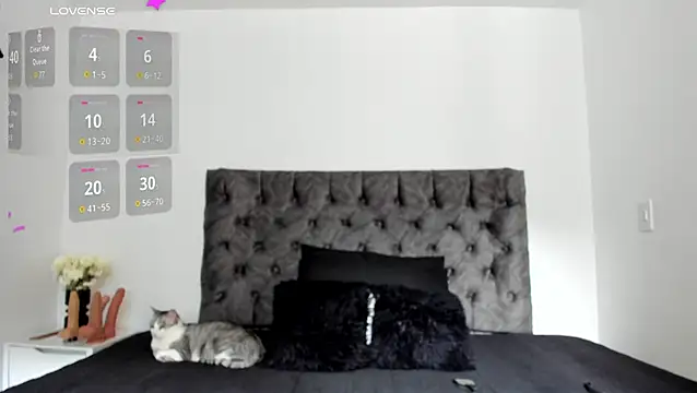 sweet  wild online show from 02-10-26, 08:19