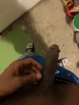 dingoding online show from 05-08-26, 02:48