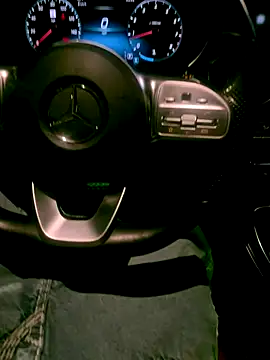 dingoding online show from 11-19-25, 08:47