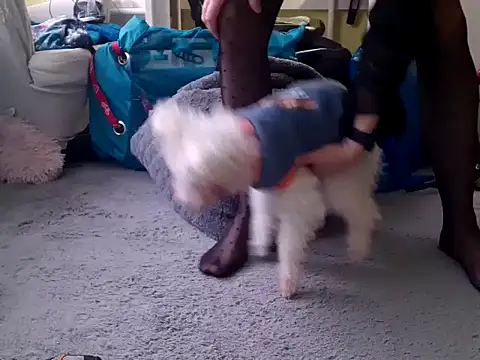 Snapshot of feathersify chatting on 02-10-26, 08:02 feathersify online show from 02-10-26, 08:02