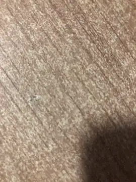 gokhanbey34 online show from 10-02-25, 12:25